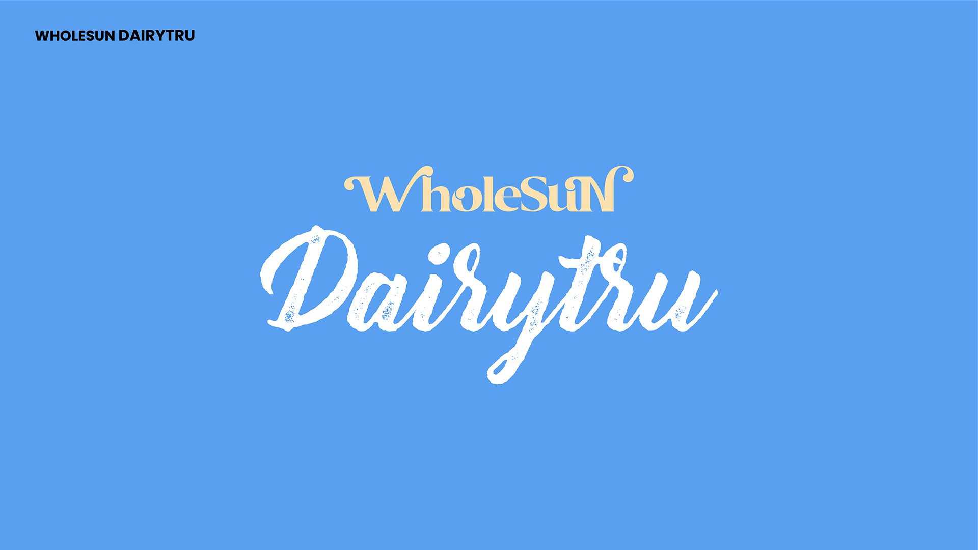 WHOLESUN BRAND ID