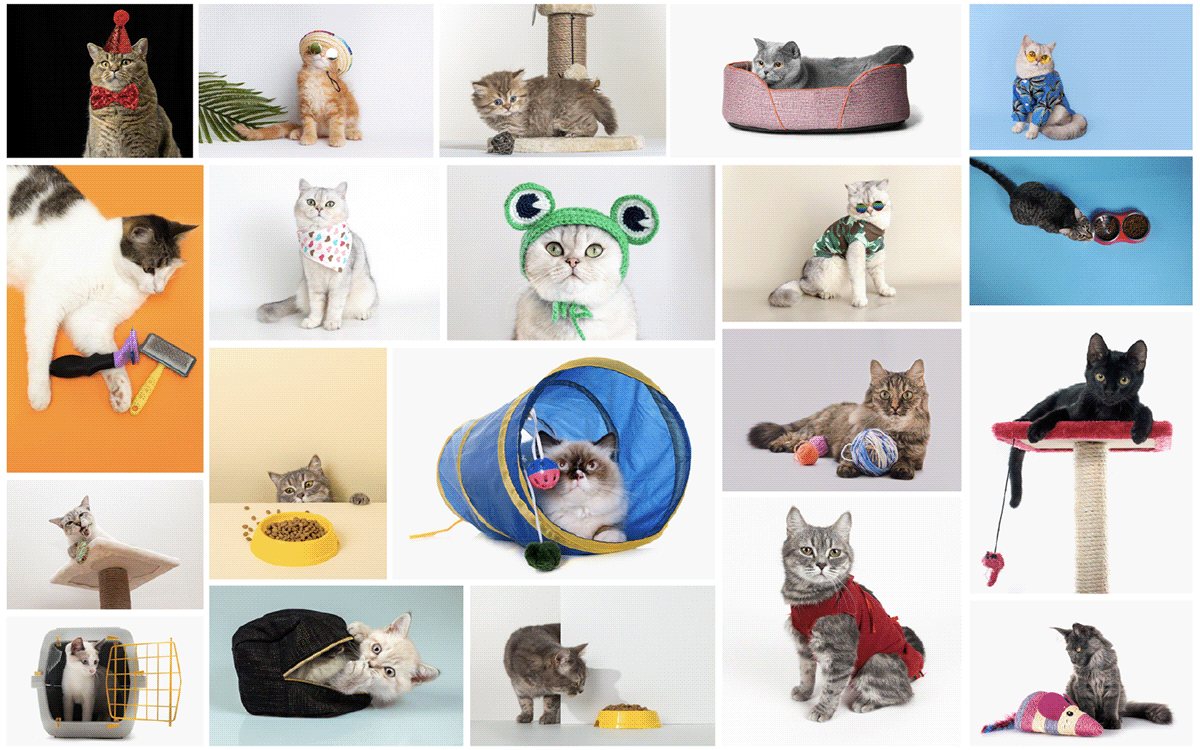 PETSHOP REBRAND